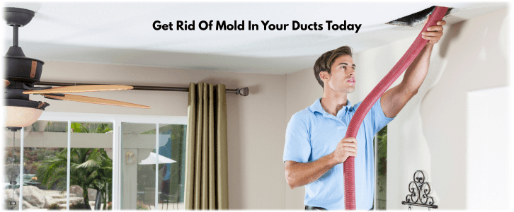 Air Duct Mold Removal in Milpitas