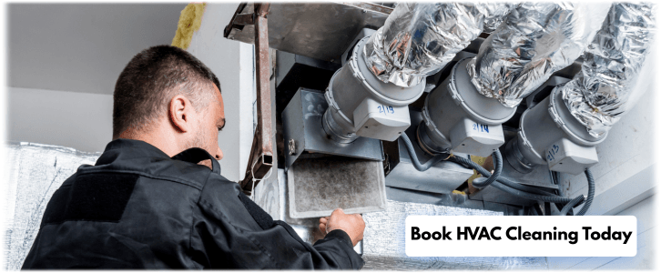 HVAC Mold Removal Milpitas